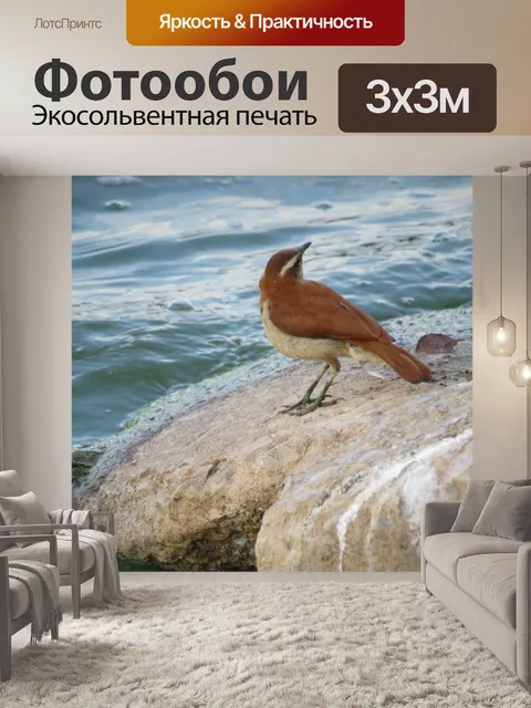 Фотообои Птица