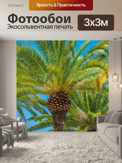 Фотообои Пальмы и голубое небо