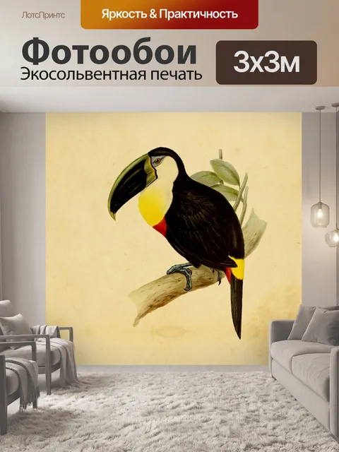 Фотообои Антикварная картина с птицами тукан