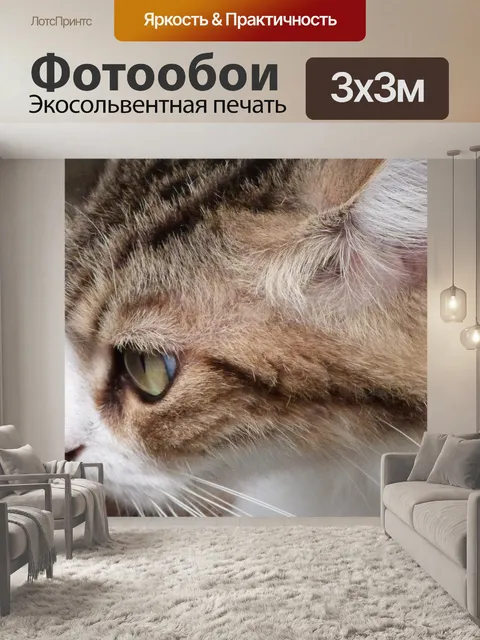 Фотообои Кошка