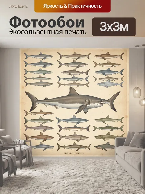 Фотообои Коллекция акул в винтажном стиле