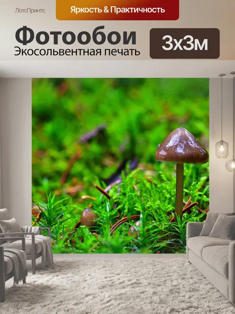 Фотообои Лес