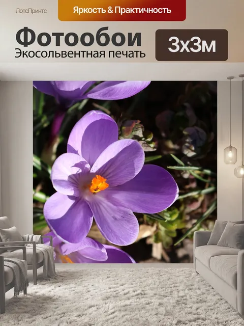Фотообои Flower