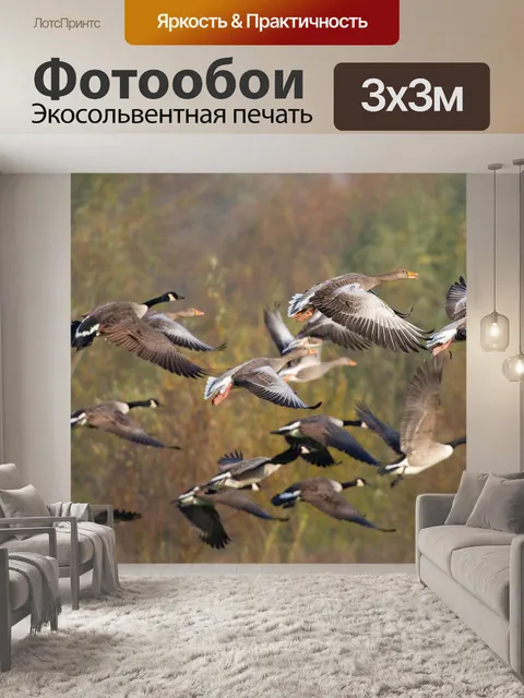 Фотообои Гуси