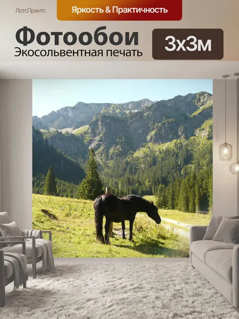 Фотообои Лошадь
