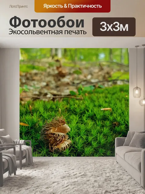 Фотообои Мышцы