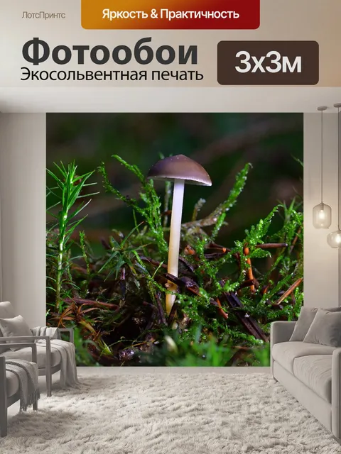 Фотообои Лес