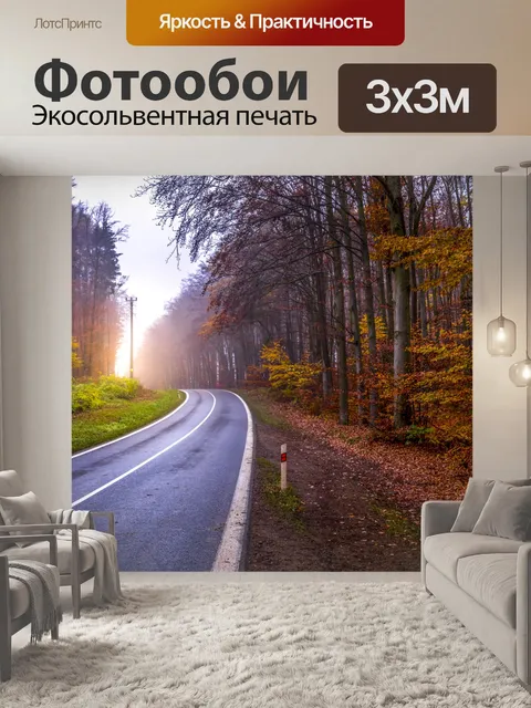 Фотообои Осенняя дорога