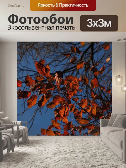 Фотообои Листья