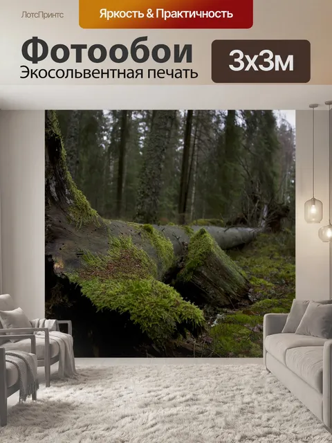 Фотообои Вечер