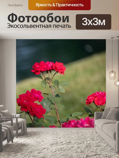 Фотообои Розы