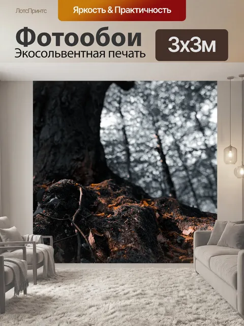 Фотообои Лес