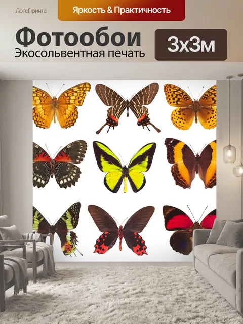 Фотообои Бабочки