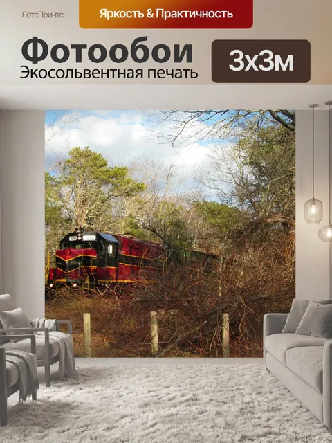 Фотообои Тренироваться