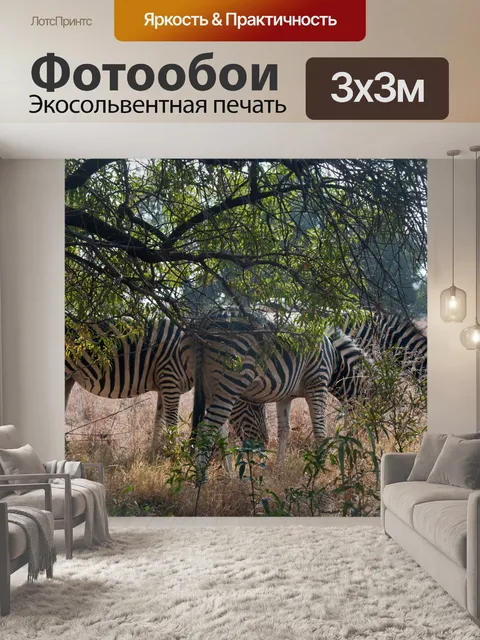 Фотообои зебра пасется за ветками