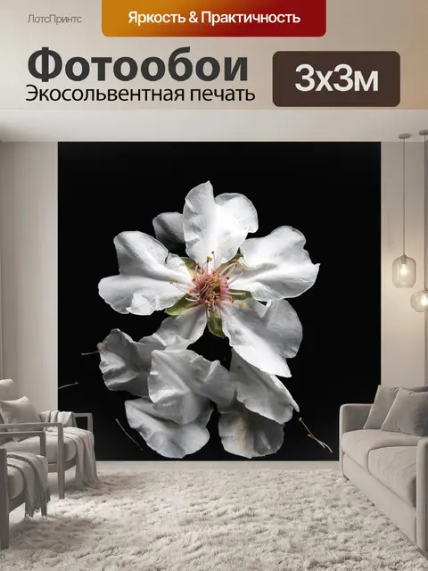 Фотообои Цветы