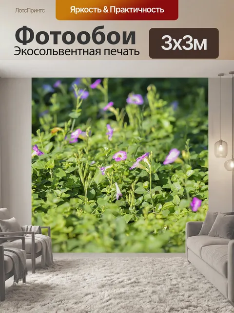 Фотообои Цветы