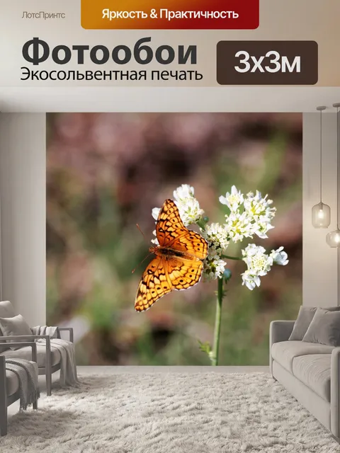 Фотообои Разноцветная бабочка-бабочка 4