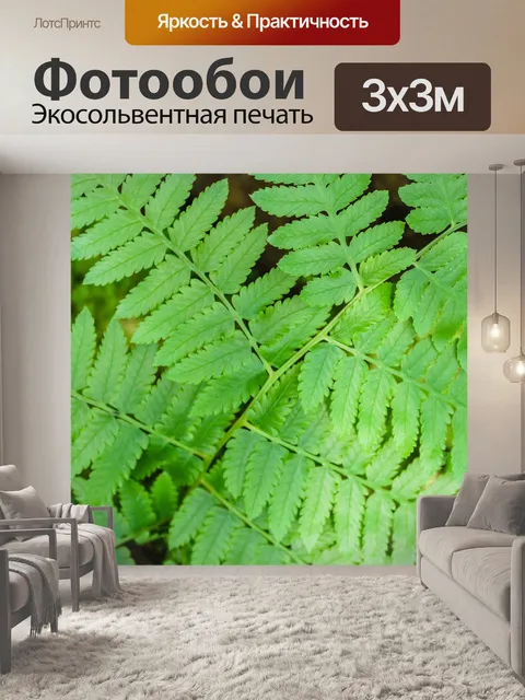 Фотообои Красивые папоротники зеленые листья