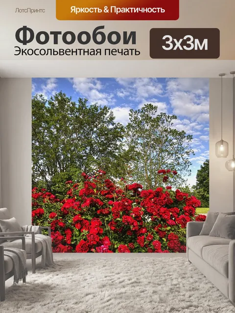 Фотообои Роза