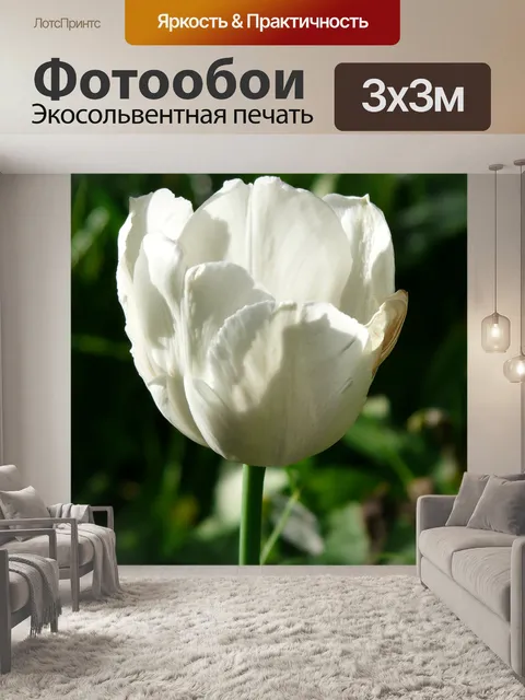 Фотообои Тюльпаны