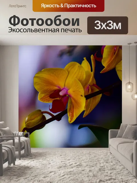 Фотообои Орхидеи