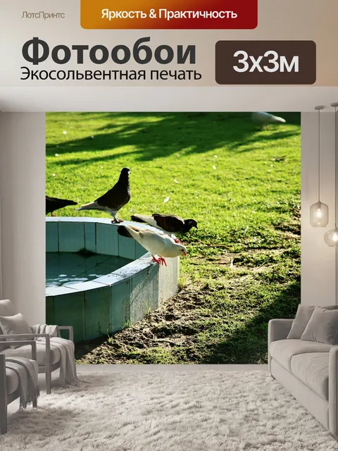 Фотообои Голуби