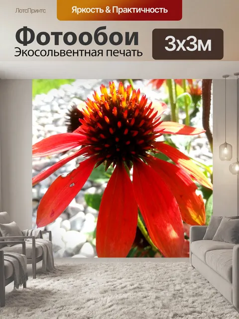 Фотообои Садовые цветы