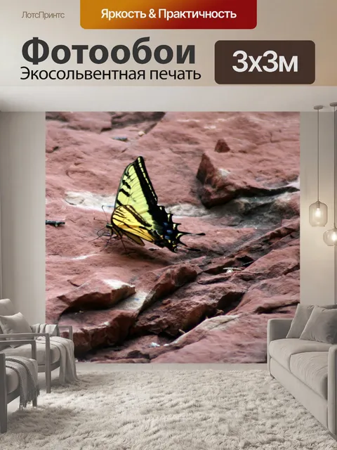 Фотообои Бабочка