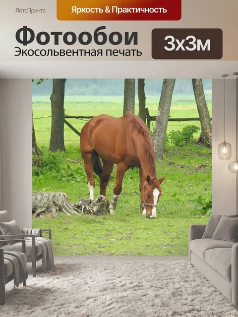 Фотообои Лужайка