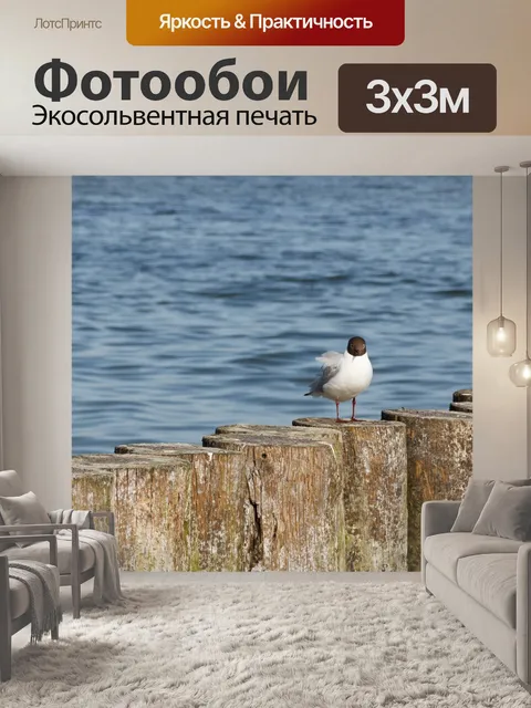 Фотообои Задумчивая крачка