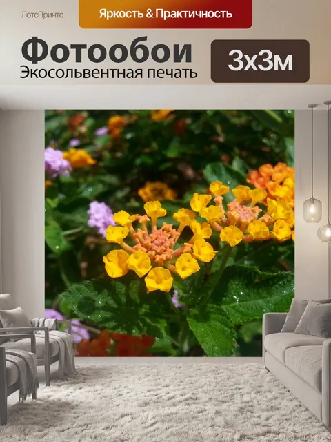 Фотообои Цветы