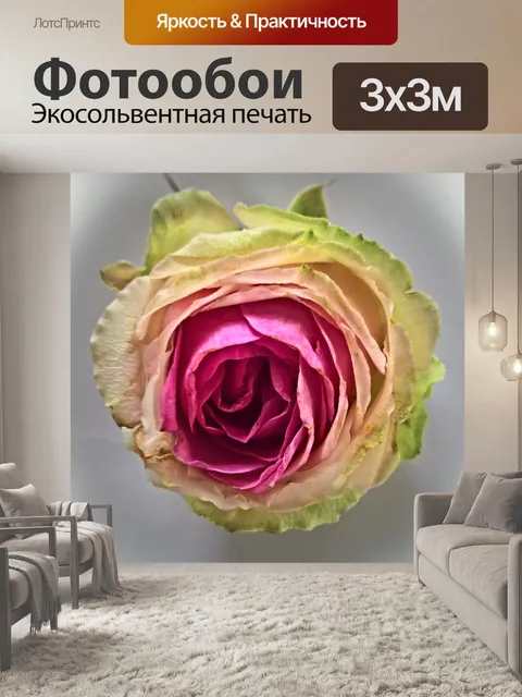 Фотообои Роза