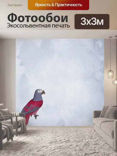 Фотообои Попугай обои фона