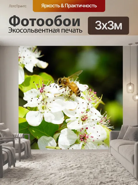 Фотообои Цветок