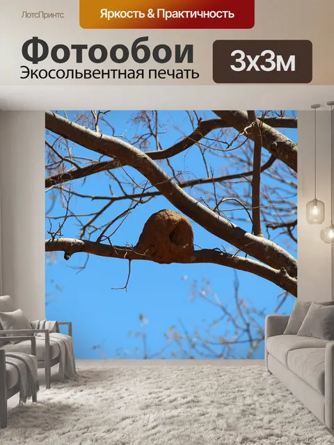 Фотообои Дерево