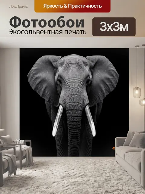 300 × 300 см · Экосольвентная печать