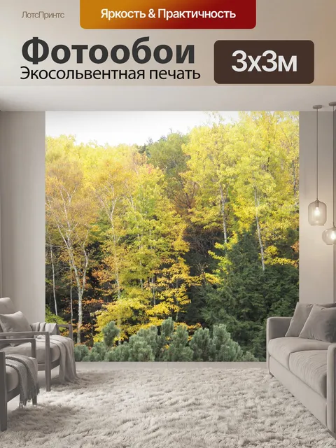 Фотообои Осенние деревья
