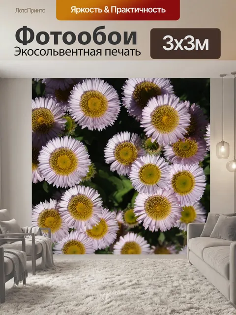 Фотообои Цветы