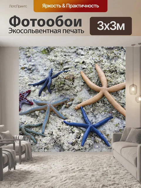 Фотообои морская звезда