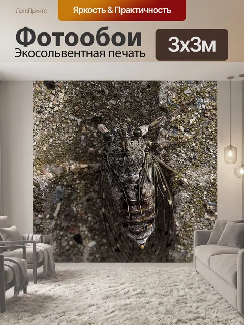 Фотообои Летом