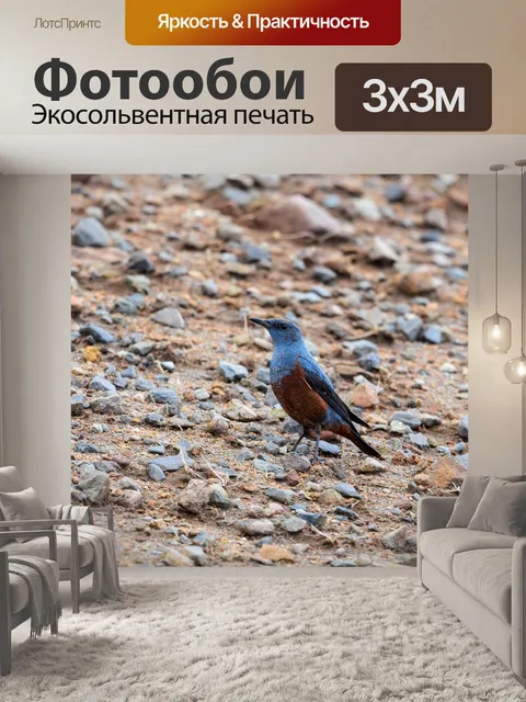 Фотообои Животное