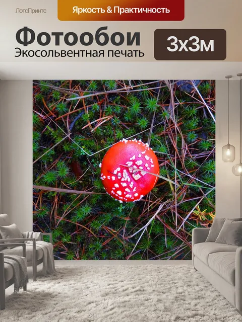 Фотообои Лес