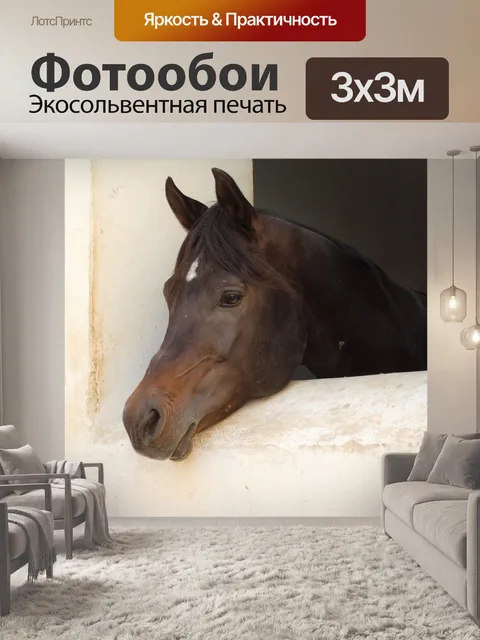 Фотообои Лошадь