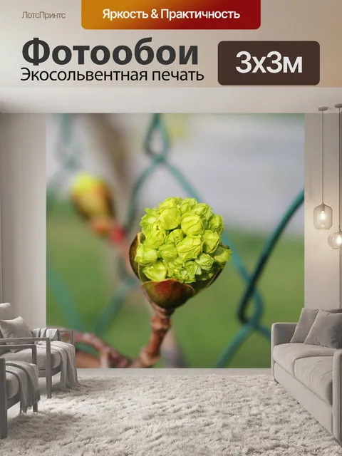 Фотообои Природа