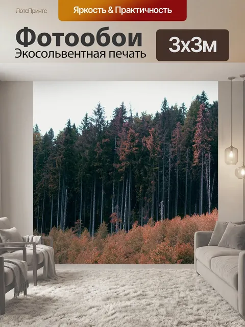 Фотообои Лес