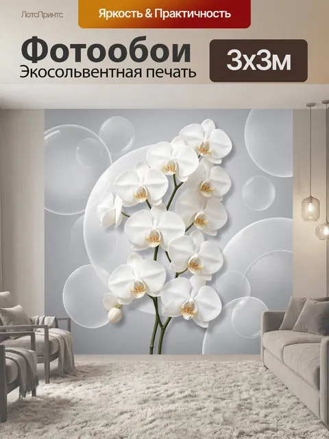Фотообои Белые орхидеи на сером фоне