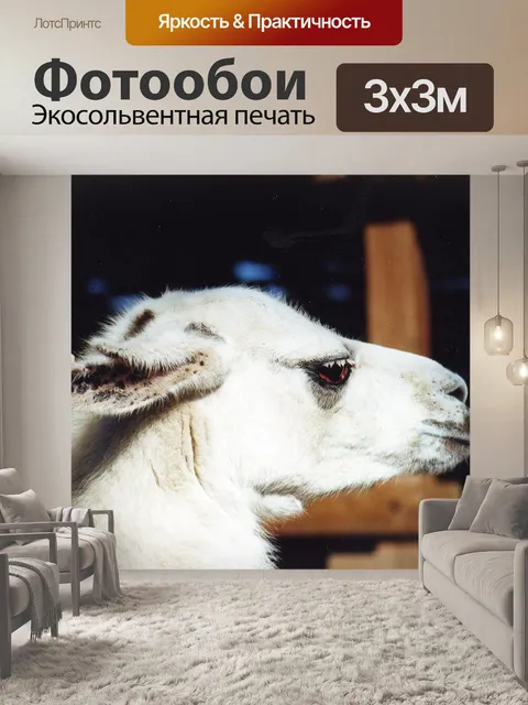 Фотообои Животное