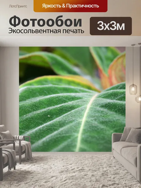Фотообои Лист