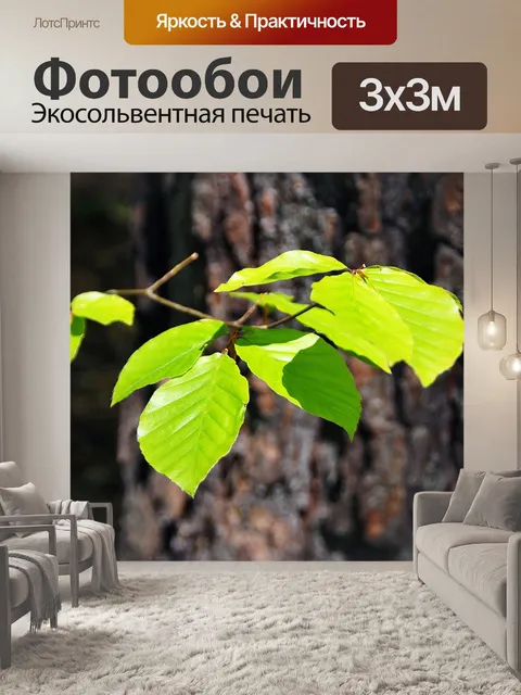 Фотообои Листья
